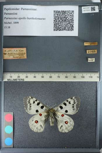 Media type: image;   Entomology 175310